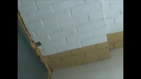 1251