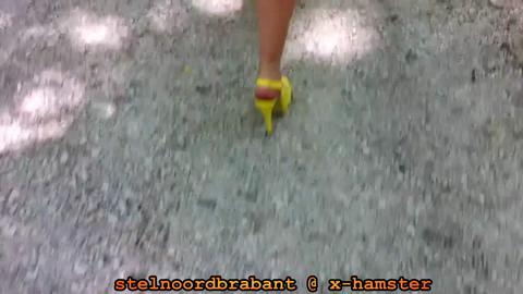 2538