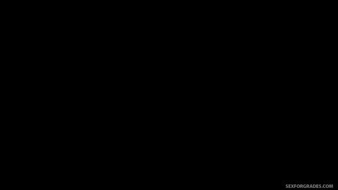 17833