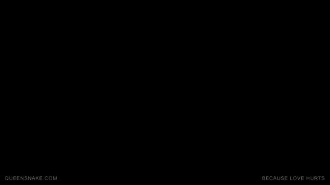 23067